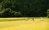 サイクリング風景