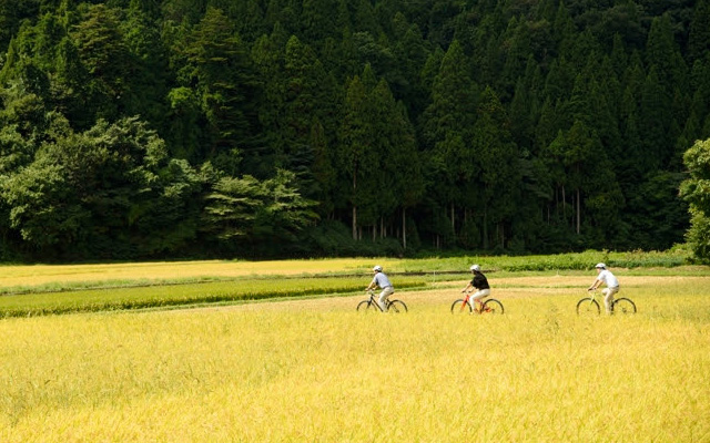 サイクリング風景